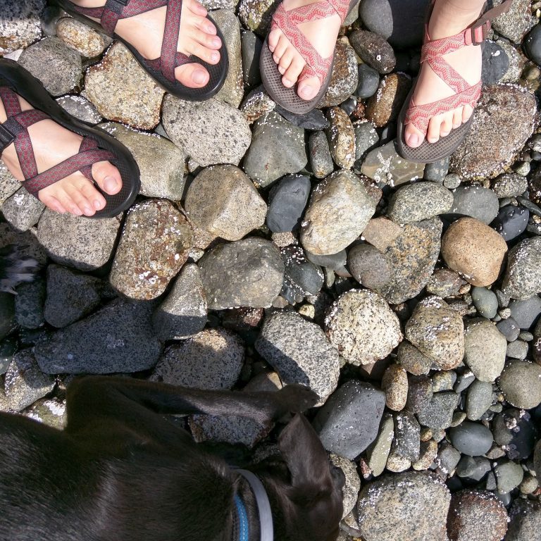 our feet and Odin sniffing around a pebble beach in British Columbia