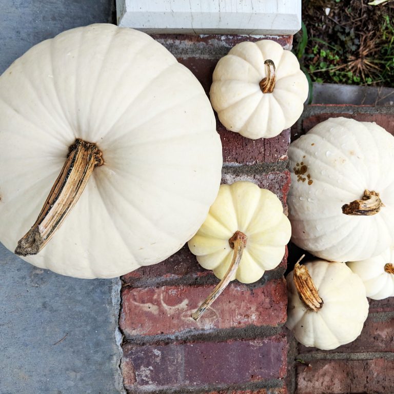 White pumpkins on the steps to the oak and hare farms Tennessee Airbnb