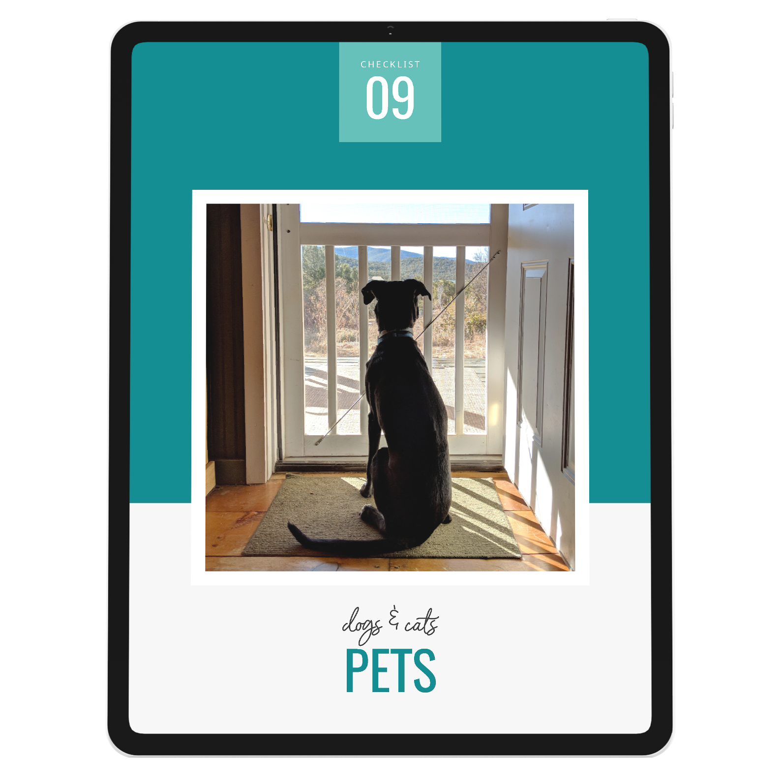 The Pets Checklist Big Heart Hosting